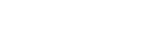 Logo Zirru